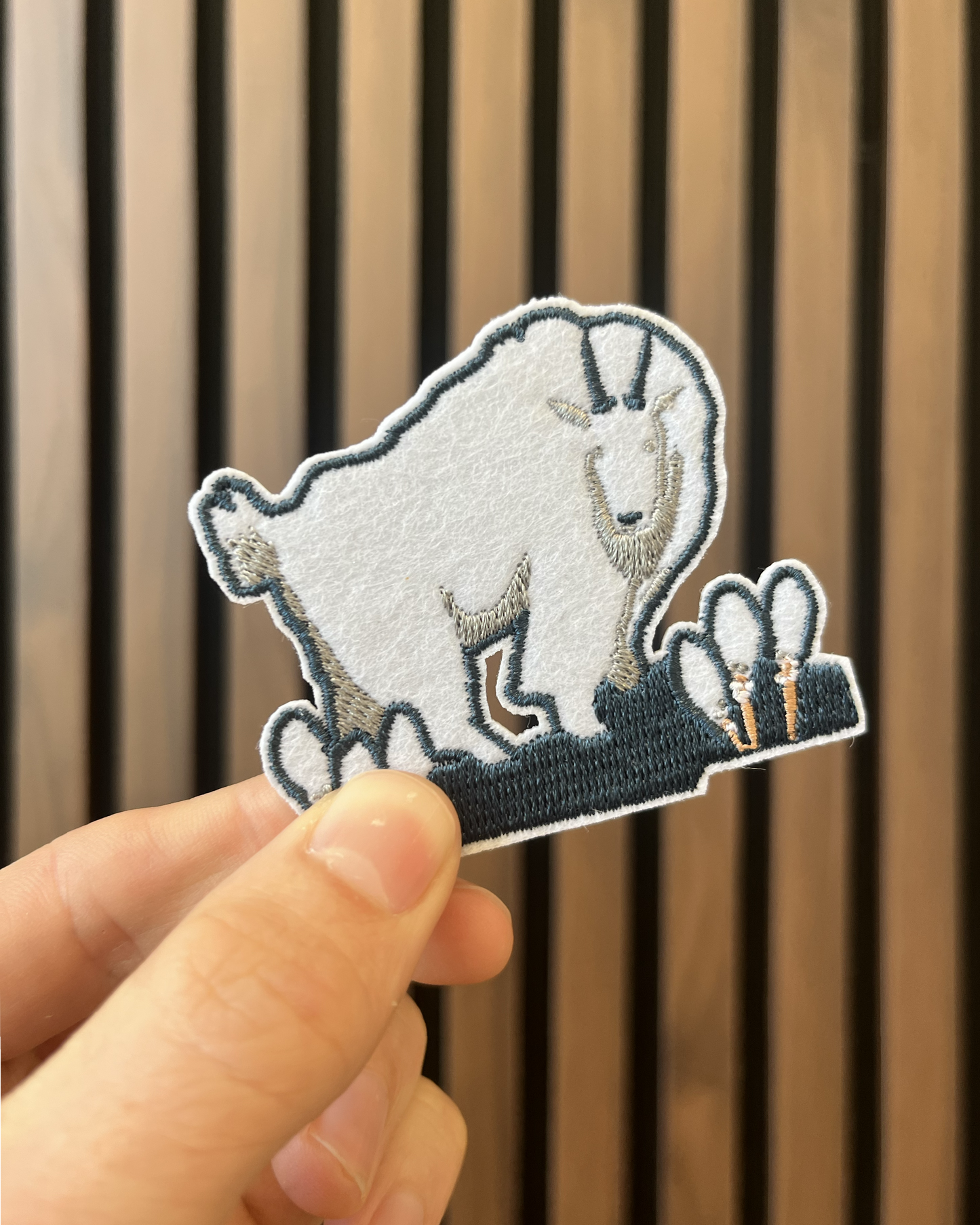 Recollection Patch Club